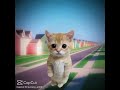Aí é um gato mas é no capricou porque eu salvei 👍