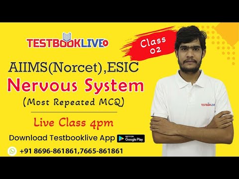 Nervous System !!!AIIMS NORCET 2021, ESIC, JKSSB,RIMS, Staff Nurse online Classes by TestbookLive