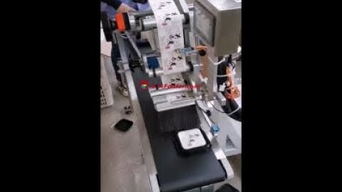 Effortless Labeling: Say Goodbye to Manual Packaging with Our Bag Carton Paging Machine!