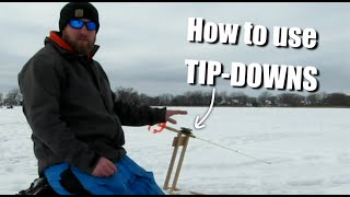 How To Use TIP-DOWNS!