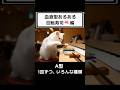 血液型あるある 🍣回転寿司編🍣 【ASMR】#shorts #asmr #猫 #血液型
