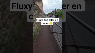 fluxy doit aller en cours 😑