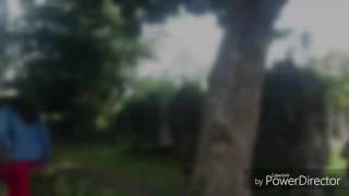 Butauanan Island Camarines Sur