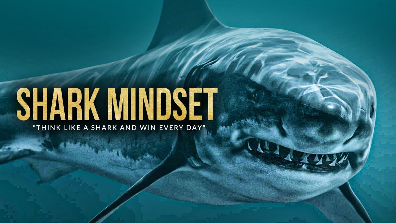 ⁣SHARK MINDSET | One of the Greatest Motivational Speeches Ever (ft. Walter Bond)