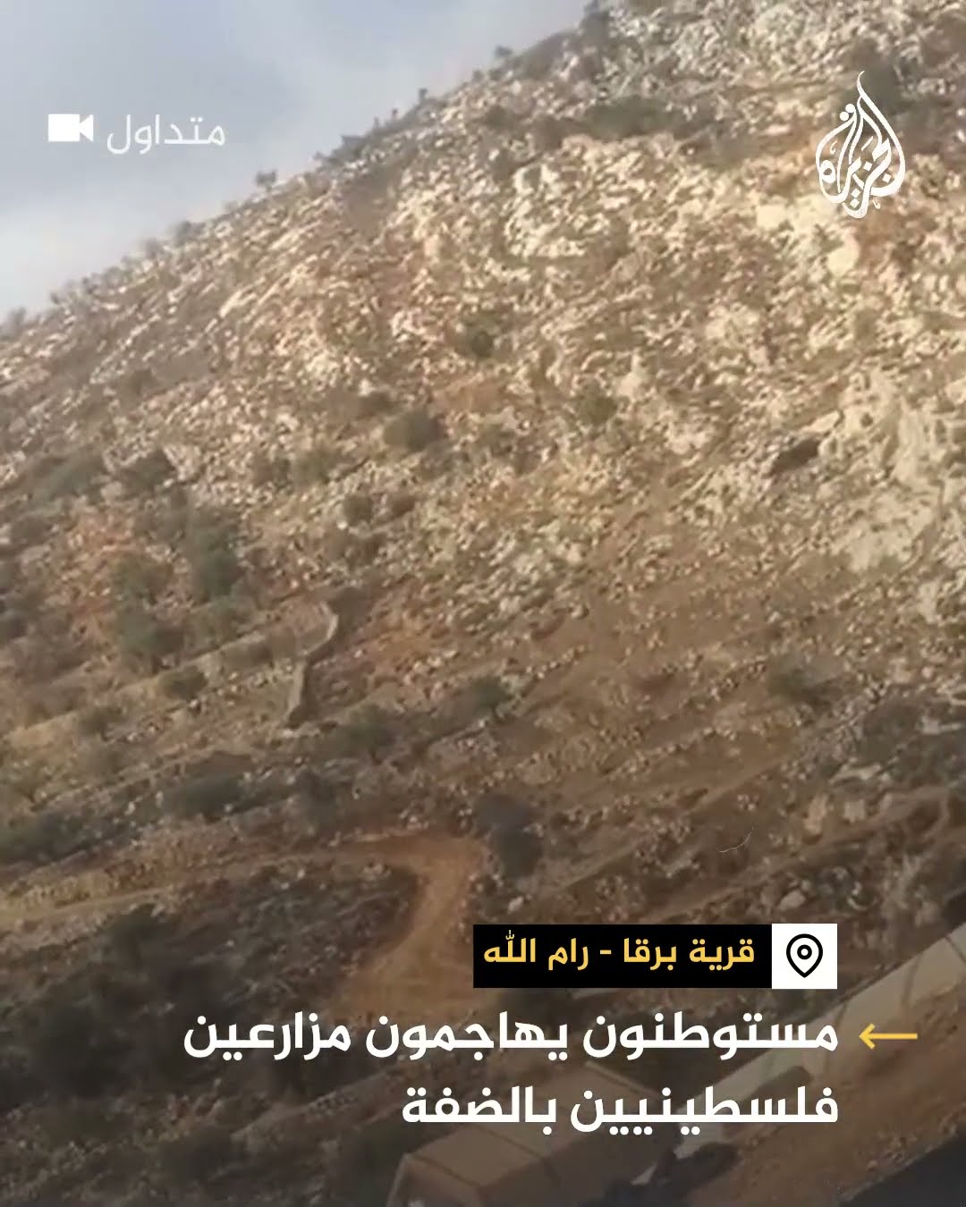 مستوطنون يهاجمون مزارعين فلسطينيين في الضفة الغربية