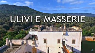 Ostuni: dove la natura incontra il verde degli ulivi