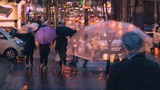 [𝐏𝐥𝐚𝐲𝐥𝐢𝐬𝐭] 비오는 거리를 혼자 걷고 있다면 들어봐 ☔️ | 클래지콰이, 롤러코스터 노래모음