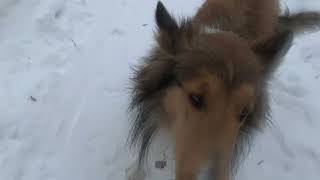 December 26, 2025 Profile