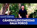 Galã Porco | Câmeras Escondidas (06/01/19)