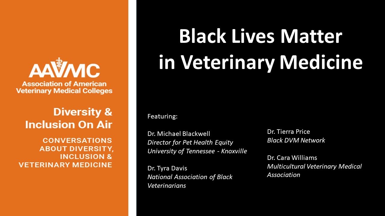 DiVersity Matters - AAVMC