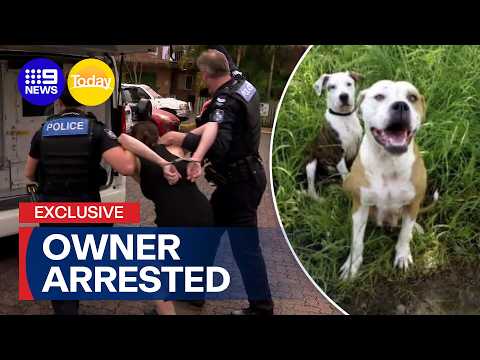 Arrest made after devastating two-dog attack | 9 News Australia