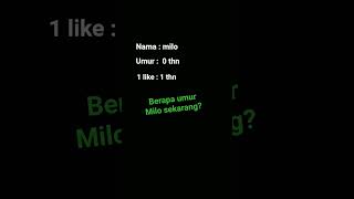 #kucing milo