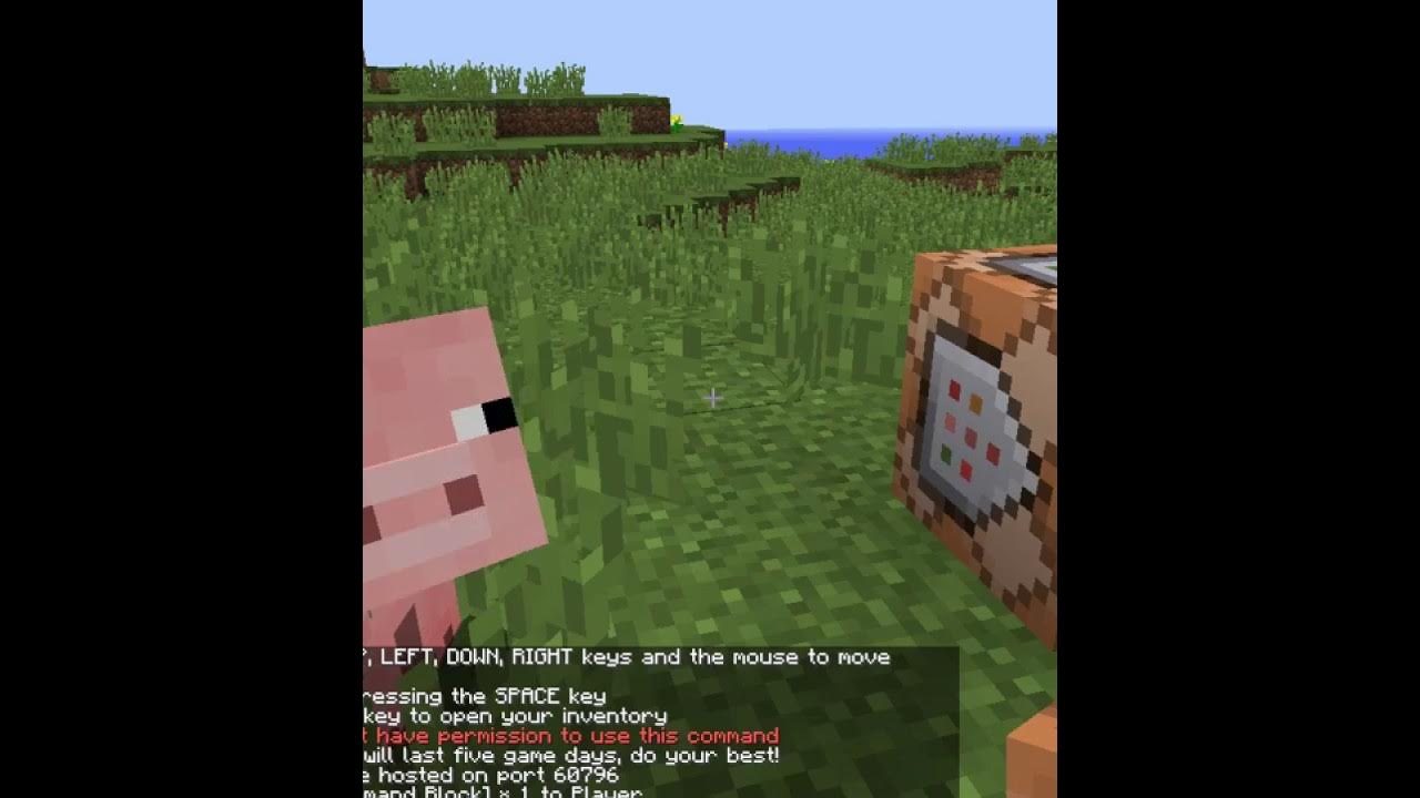 Mcpe custom