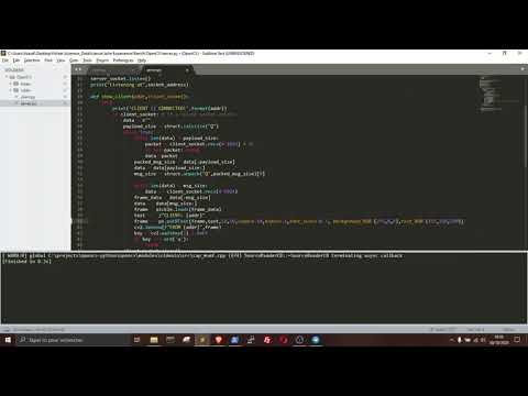 OpenCV Multi Clients