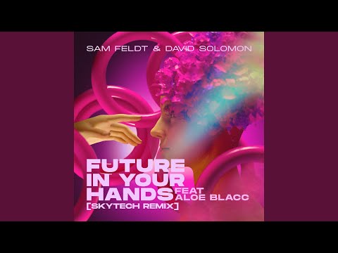 Future In Your Hands (feat. Aloe Blacc) (Skytech Remix)