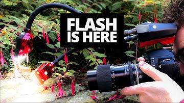 Xenon flash is coming to the Adaptalux Studio