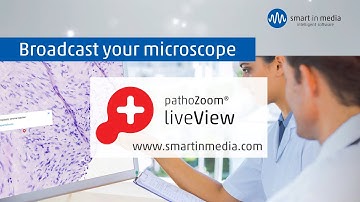 PathoZoom® LiveView