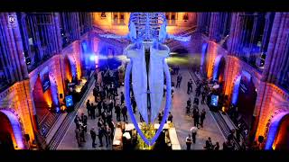 Luxury Corporate Summer Party at the Natural History Museum | Beyond Certainty