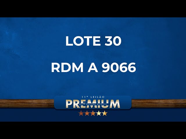 LOTE 30   RDM A 9066