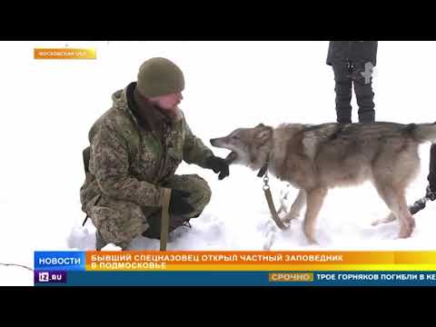 "Отец лосей": браконьеры осаждают открытый экс-спецназовцем заповедник