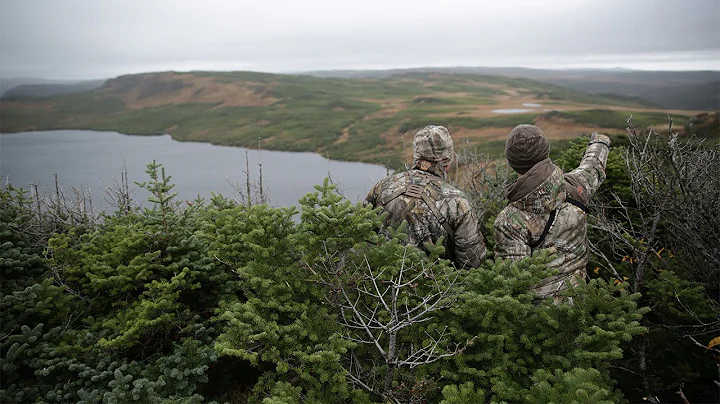 Newfoundland Moose Hunting in Extreme Conditions | Canada in the Rough
