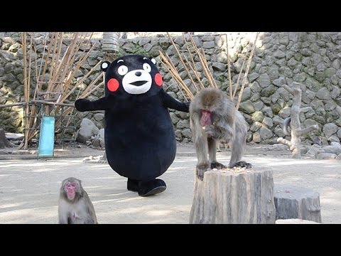 人気者 共演のはずが くまモンと高崎山のニホンザル ベンツ Youtube 人気者 共演のはずが くまモンと高崎山のニホンザル ベンツ Youtube