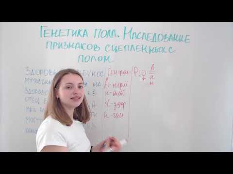 Видео: Как да определим пола на коте: 9 стъпки