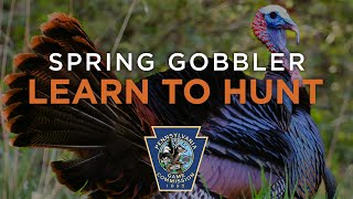 Learn To Hunt 2022 Webinar: Spring Gobbler