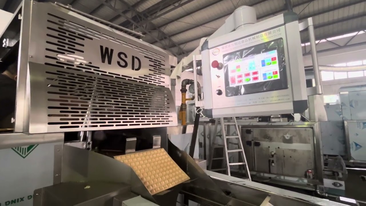 Chocolate Wafer Ball Production Line Testing for the client….