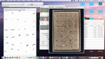 ImageJ Tutorial 4.1 - Count Germinated Seeds Using Color Thresholding