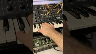 Korg MS-20 with RE-201 Space Echo duophonic trick. #korgms20 #re201 #spaceecho