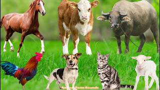Farm Animals: Elephant, Chicken, Cat, Horse, Dog, Pig, Sheep, Rabbit – Animal Sounds screenshot 4
