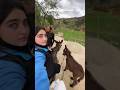 ايناس عبدلي جربت نركب فوق الحمار لأول مرة في حياتي كفاش كانت التجربة 