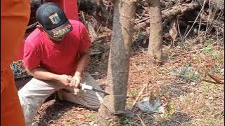 TEST KETAJAMAN GERGAJI LIPAT PORTABLE