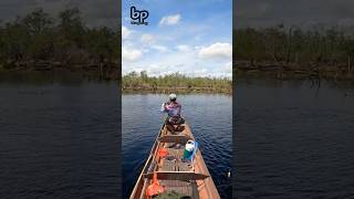 Double Strike #mancing #fishing #castingtoman