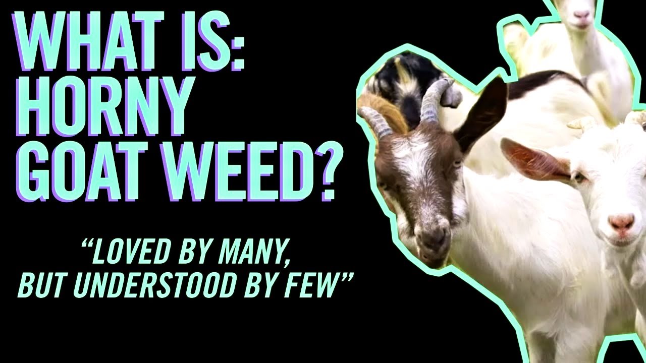 🍬Sildenafil Citrate (Viagra) 🆚 🔞Horny Goat Weed ️The Herbal Testosterone & Libido Booster for