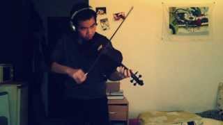 Video thumbnail of "Because i'm stupid - Violin cover by Kaiser"