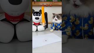 The Robot And Cat Playing 😨| New Viral Gadgets,Smart Appliances, Kitchen Utensils/ Home Inventions