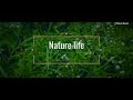 The nature life a cinematography on redmi note 7 pro  anuran chowdhury