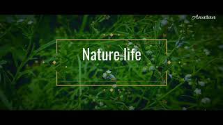 The Nature Life- A Cinematography On Redmi Note 7 Pro Anuran Chowdhury