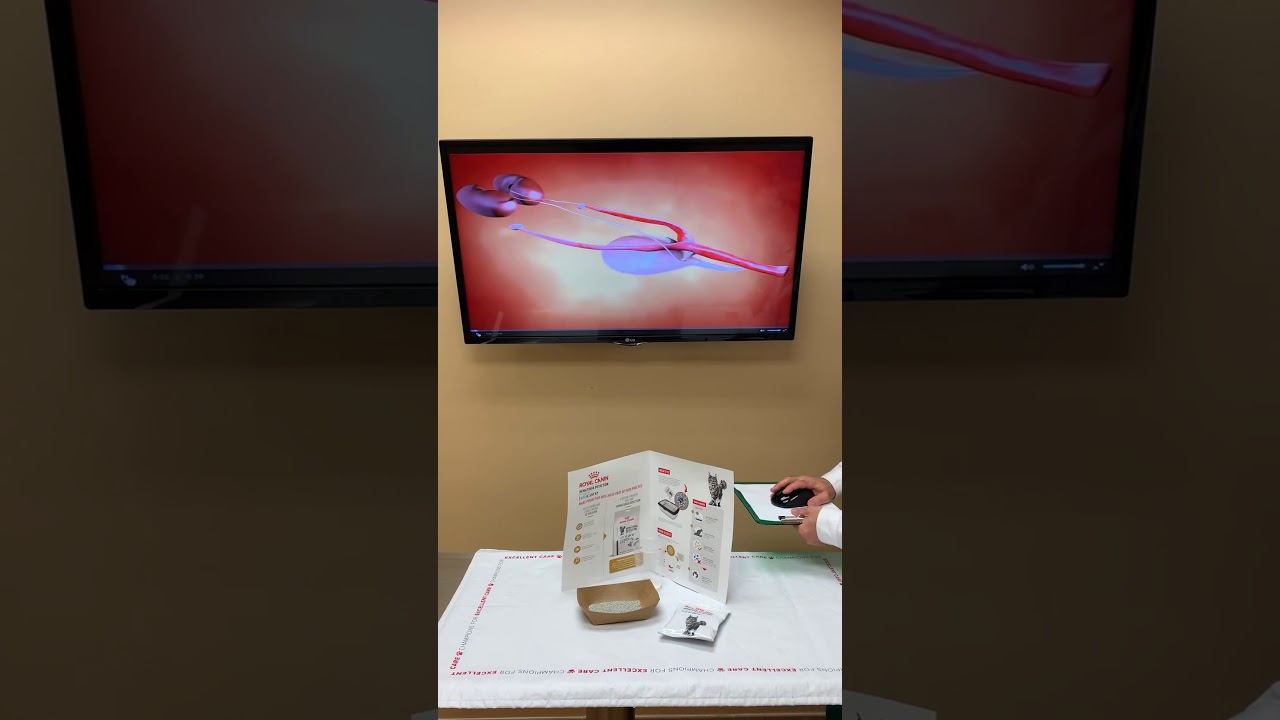 Cat Urinary Issues !