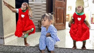 Download Lagu CUTIS Tries to Apologize Yen Nhi but Makes Everyone Laugh MP3