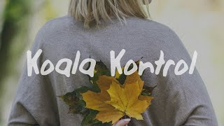 JP Saxe - Hey Stupid, I Love You (Lyrics)