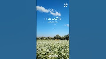 أتي الرحمن عبدا راحة و طمأنينة القارئ أحمد دياب #قرآن #أحمد_دياب