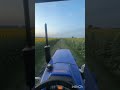 Golden Sunflower Farm View | Nature Video”