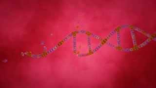 Famous DNA animation final render (720p) Wealth