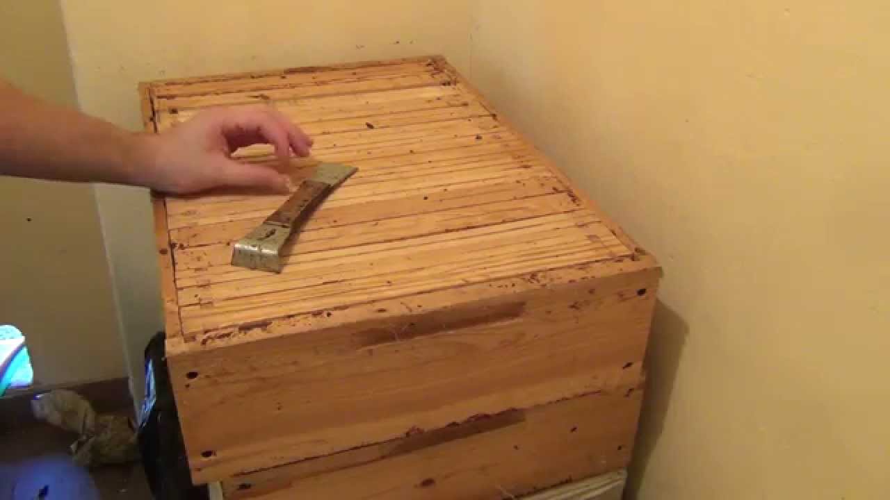 Piotr i Pszczoly 027 - Resztki Jesiennego Miodu - Wiek Pszczol a Zimowla