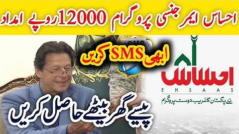 How to apply Ehsaas emergency Cash Program ll government ki tarf se 12000 rupay kesay melay gay