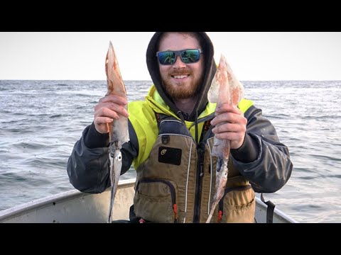 How to Catch Springtime Squid on Cape Cod 