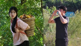 Download Lagu Hearing That Hien Nuong Had Moved Away, Van Cuong Urgently Searched Through the Night MP3